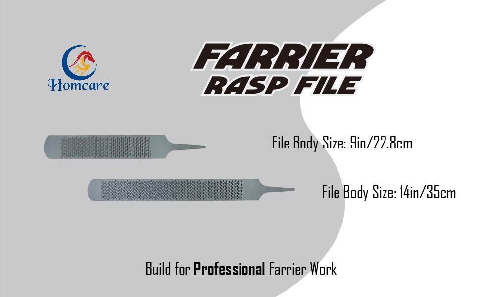 farrier rasp file