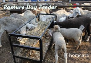 Hay Feeder for Goats